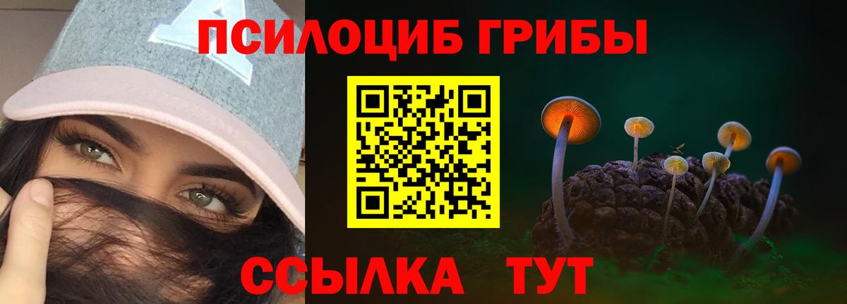Бузулук  Псилоцибиновые грибы Psilocybe  Вход с VPN  Галлюциногенные грибы Magic Shrooms 